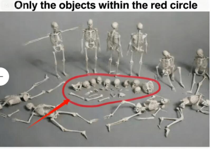 3D printing 1/72/35/64/12/10 Scale Human Beings Skeleton Unpainted - Picture 6 of 13