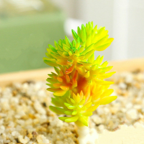 Mini Artificial Succulents Plant Fake Cactus for Floral Decor DIY Home Garden - Picture 30 of 38