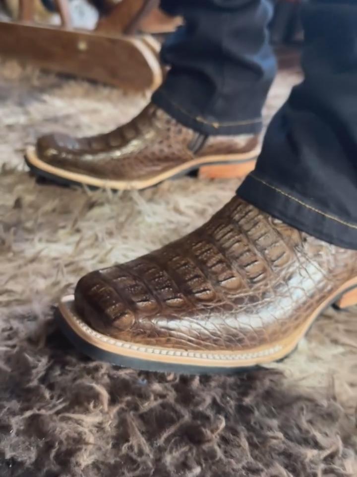 reizinhobotas_1740321733_3574399144237255056_585870272