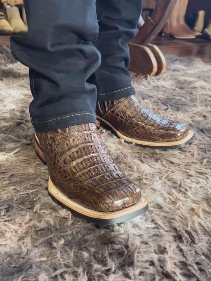 reizinhobotas_1740321733_3574399144237255056_585870272