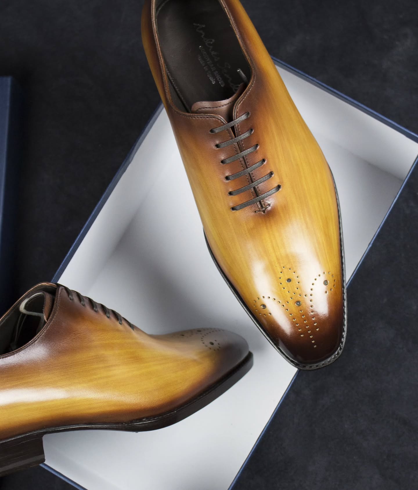 485354894_1192729309115213_7355294408346410740_n