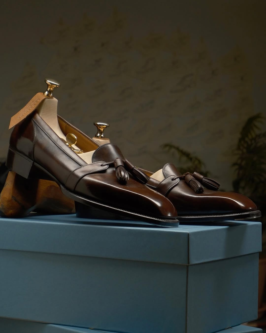 489967090_18366935719122284_5714471706245808666_n