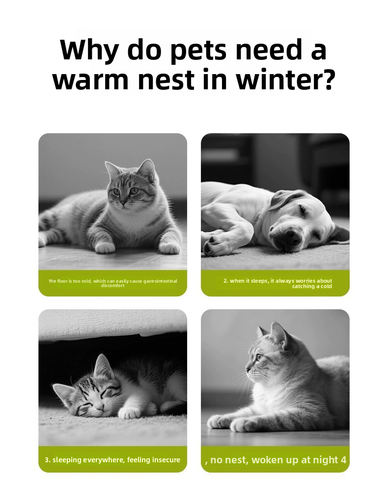 DM_20251016103448_001