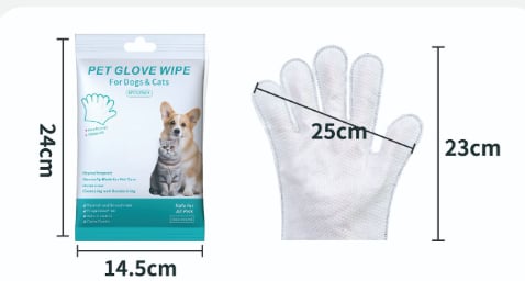 DM_20251030155600_004