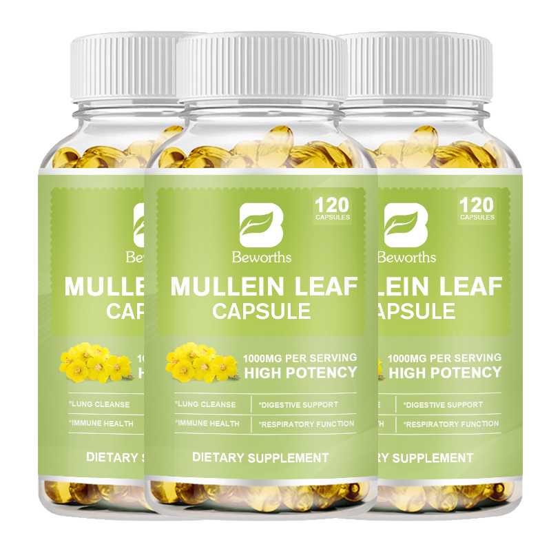 Mullein Leaf Capsules Herbal Supplement Respiratory  Function Lung Cleanse USA