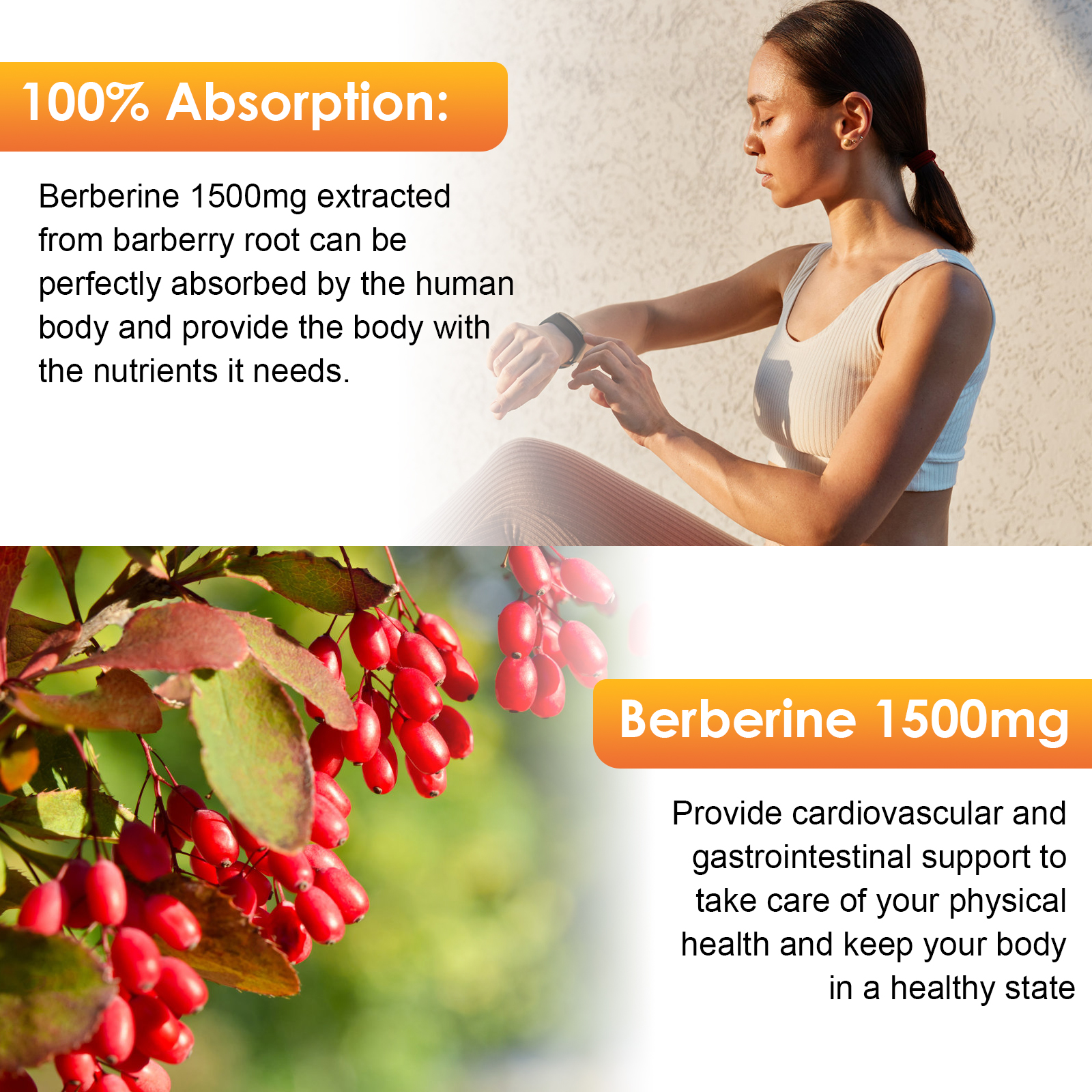 Berberine HCL Extract Liquid Drop with Ceylon Cinnamon for Heart Health & Immune