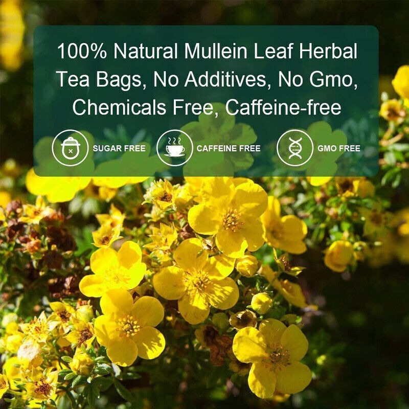 Neatural Mullein Leaf Supplement Mullein Leaf Extract Drops Mullein Herbal Tea