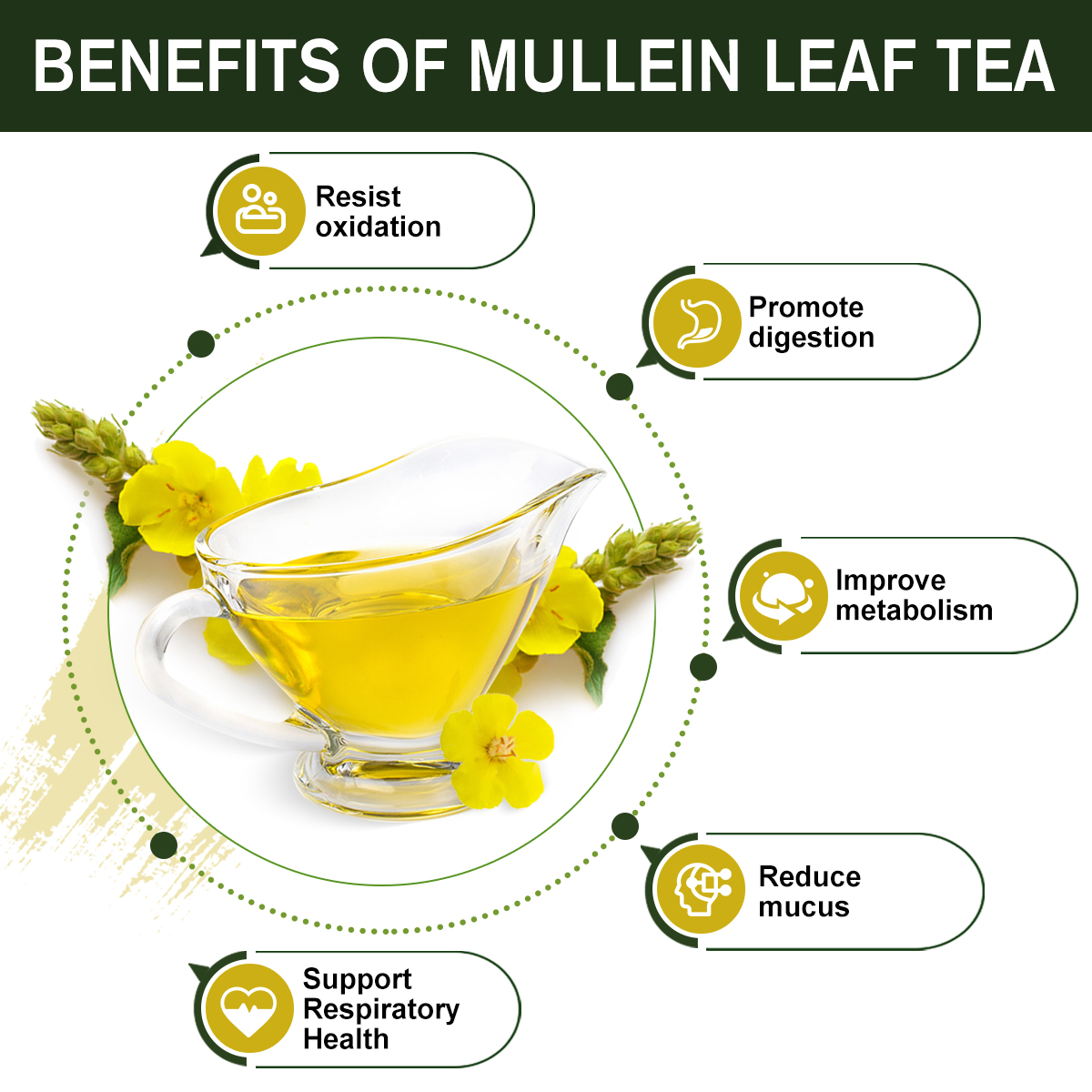 Liver Detox Tea Mullien Tea Natual Herbal Tea Bags Support Lung Health and Liver - Picture 4 of 16