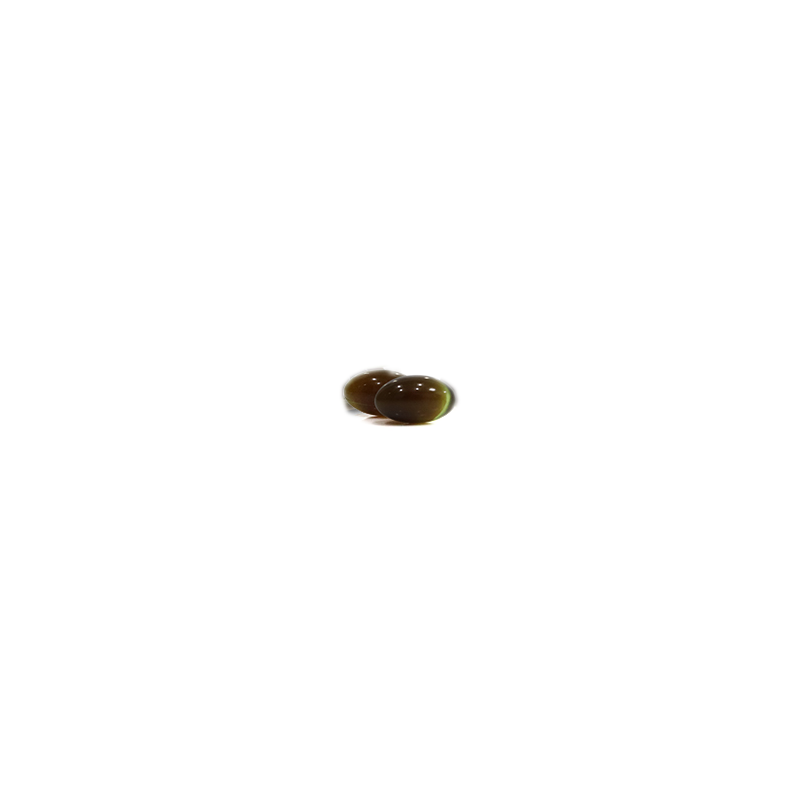 Bitter Melon Extract Capsules Support Blood Sugar & Cholesterol Wellness