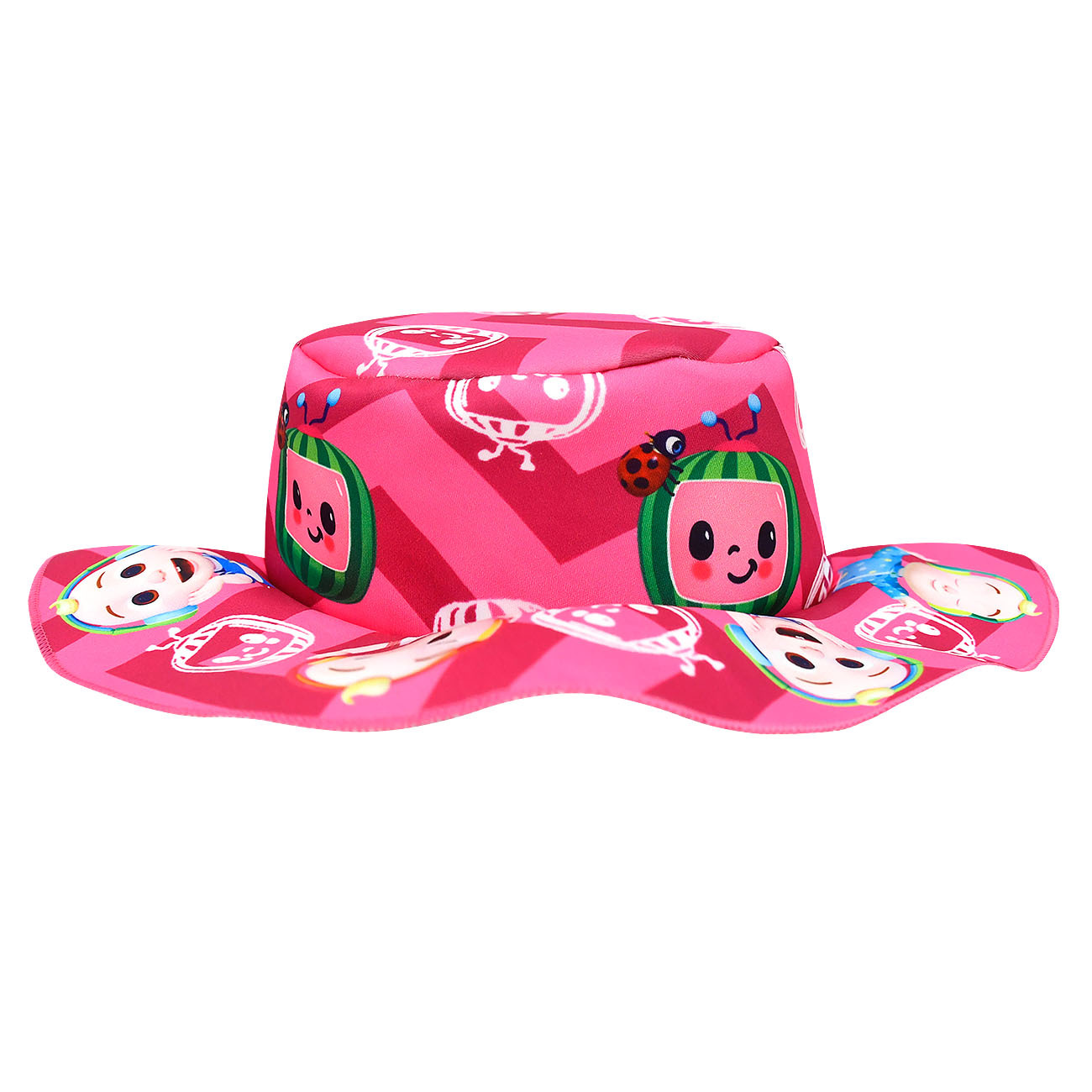 Girl Cocomelon Friend Costume T-Shirt Top Skirt Bag Hat Outfit Party Fancy Dress - Picture 51 of 52