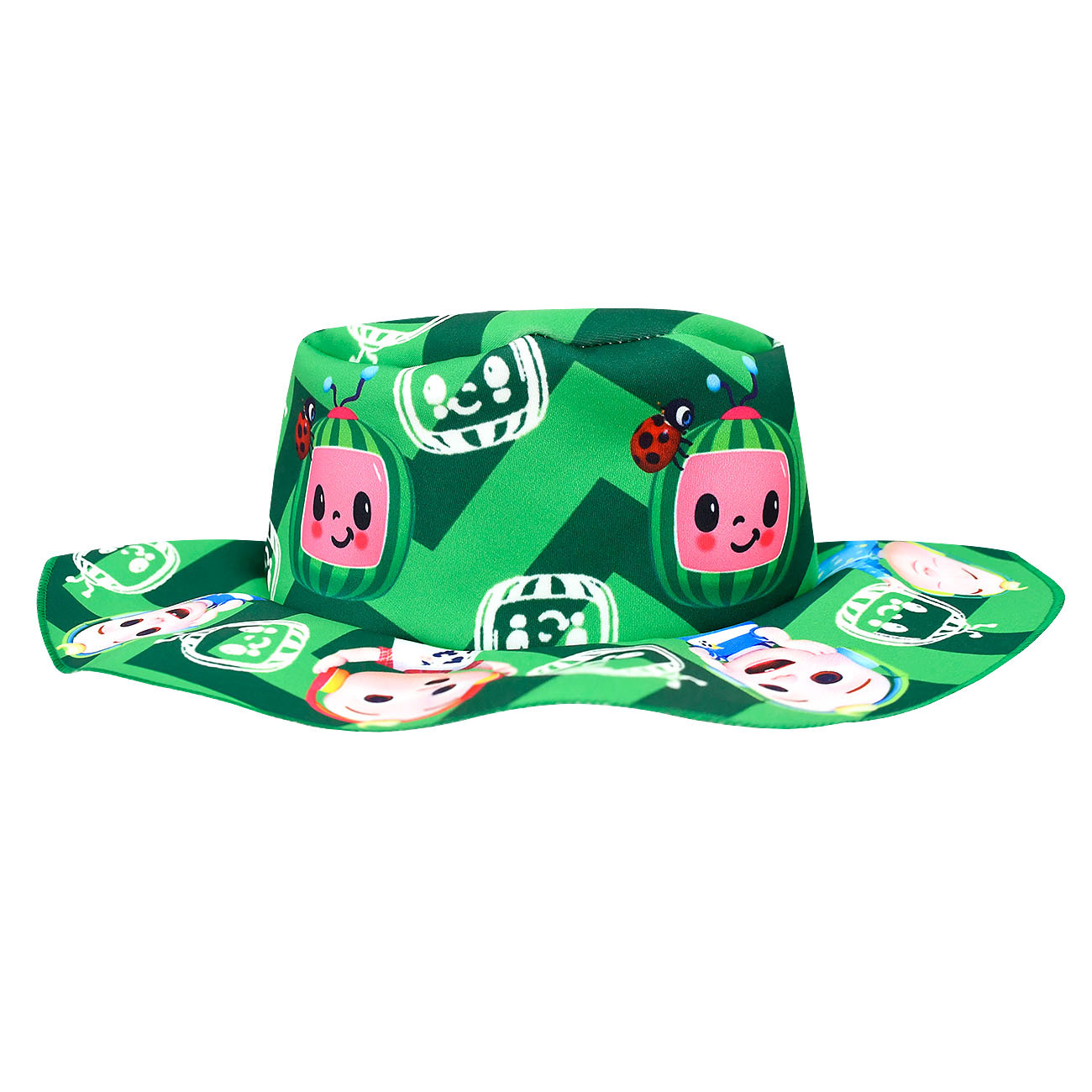 Girl Cocomelon Friend Costume T-Shirt Top Skirt Bag Hat Outfit Party Fancy Dress - Picture 52 of 52