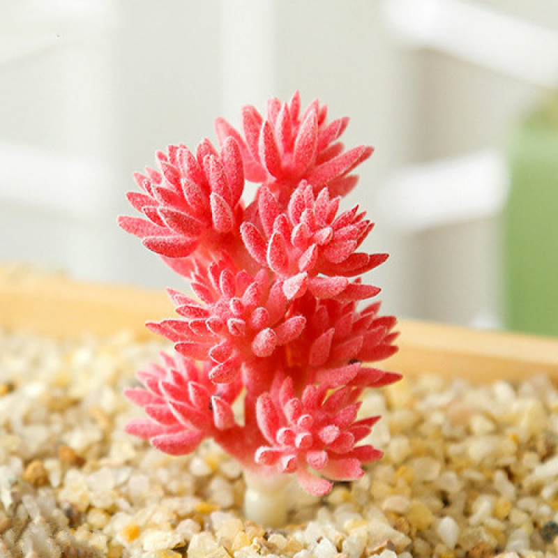 Mini Artificial Succulents Plant Fake Cactus for Floral Decor DIY Home Garden - Picture 32 of 38
