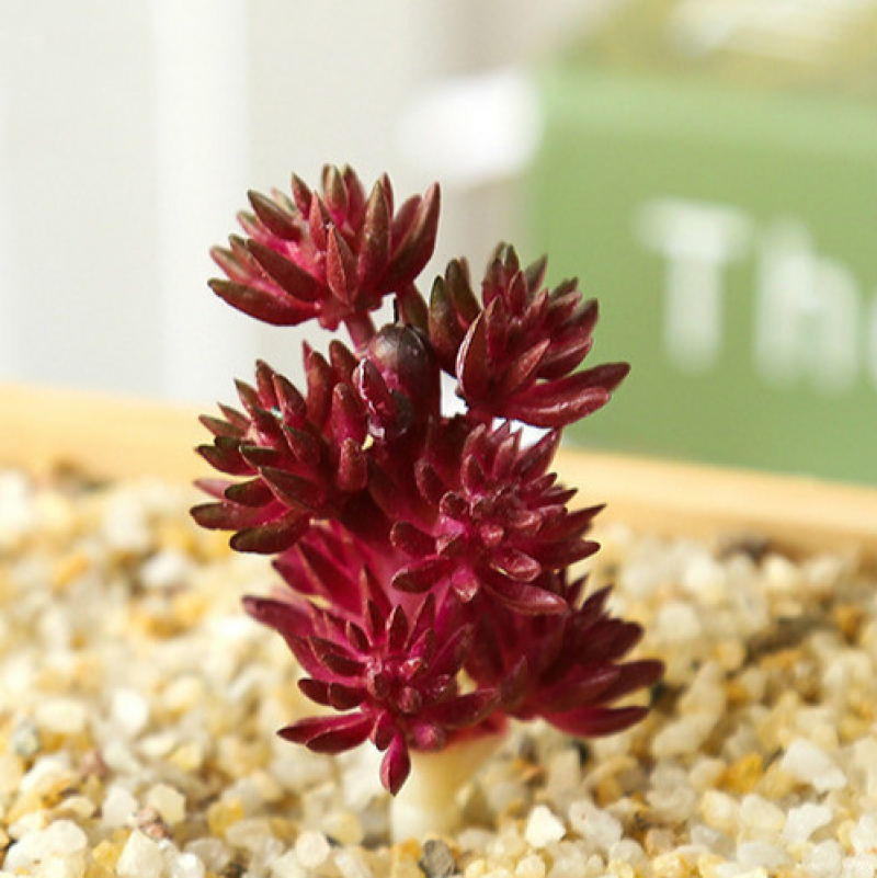 Mini Artificial Succulents Plant Fake Cactus for Floral Decor DIY Home Garden - Picture 31 of 38