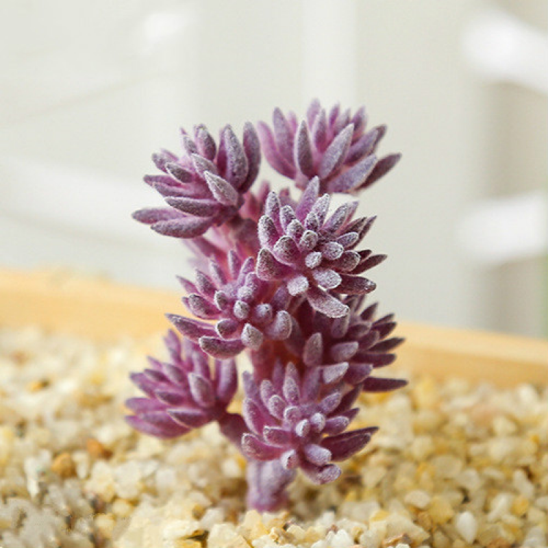 Mini Artificial Succulents Plant Fake Cactus for Floral Decor DIY Home Garden - Picture 35 of 38