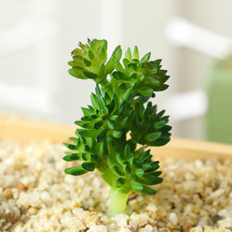 Mini Artificial Succulents Plant Fake Cactus for Floral Decor DIY Home Garden - Picture 33 of 38