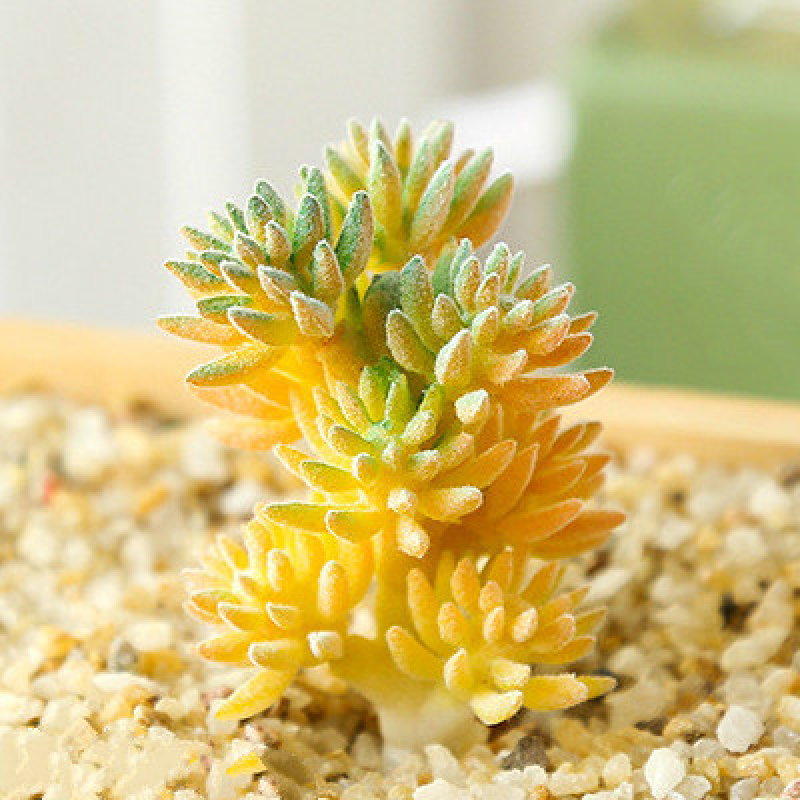 Mini Artificial Succulents Plant Fake Cactus for Floral Decor DIY Home Garden - Picture 36 of 38