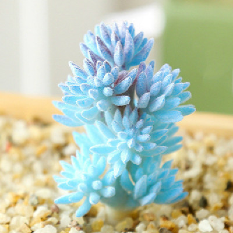 Mini Artificial Succulents Plant Fake Cactus for Floral Decor DIY Home Garden - Picture 38 of 38
