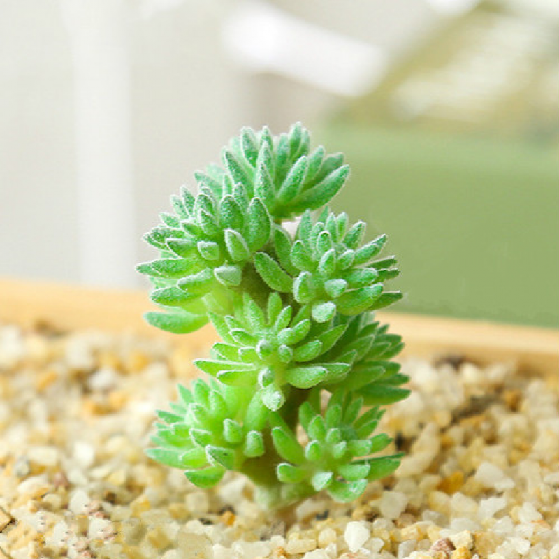 Mini Artificial Succulents Plant Fake Cactus for Floral Decor DIY Home Garden - Picture 37 of 38