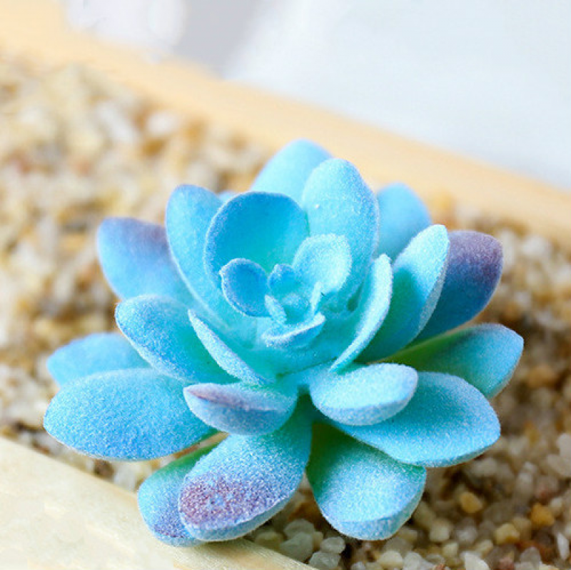 Mini Artificial Succulents Plant Fake Cactus for Floral Decor DIY Home Garden - Picture 24 of 38