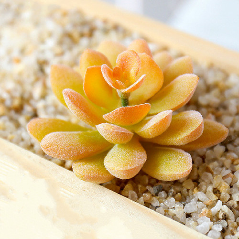 Mini Artificial Succulents Plant Fake Cactus for Floral Decor DIY Home Garden - Picture 26 of 38