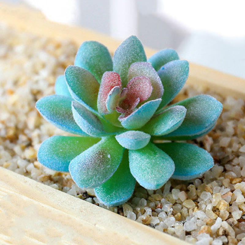 Mini Artificial Succulents Plant Fake Cactus for Floral Decor DIY Home Garden - Picture 23 of 38