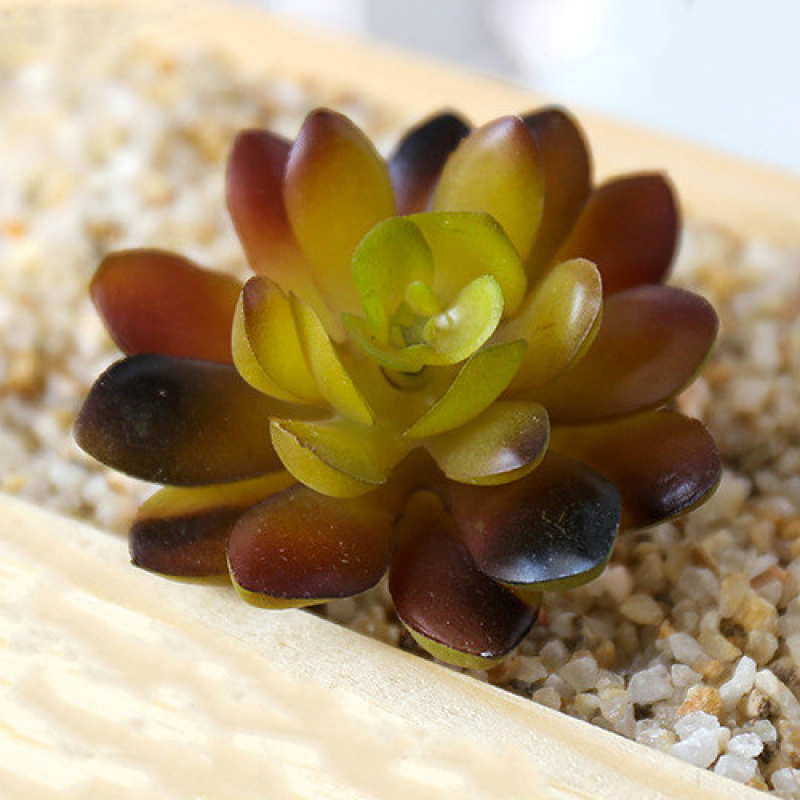 Mini Artificial Succulents Plant Fake Cactus for Floral Decor DIY Home Garden - Picture 27 of 38