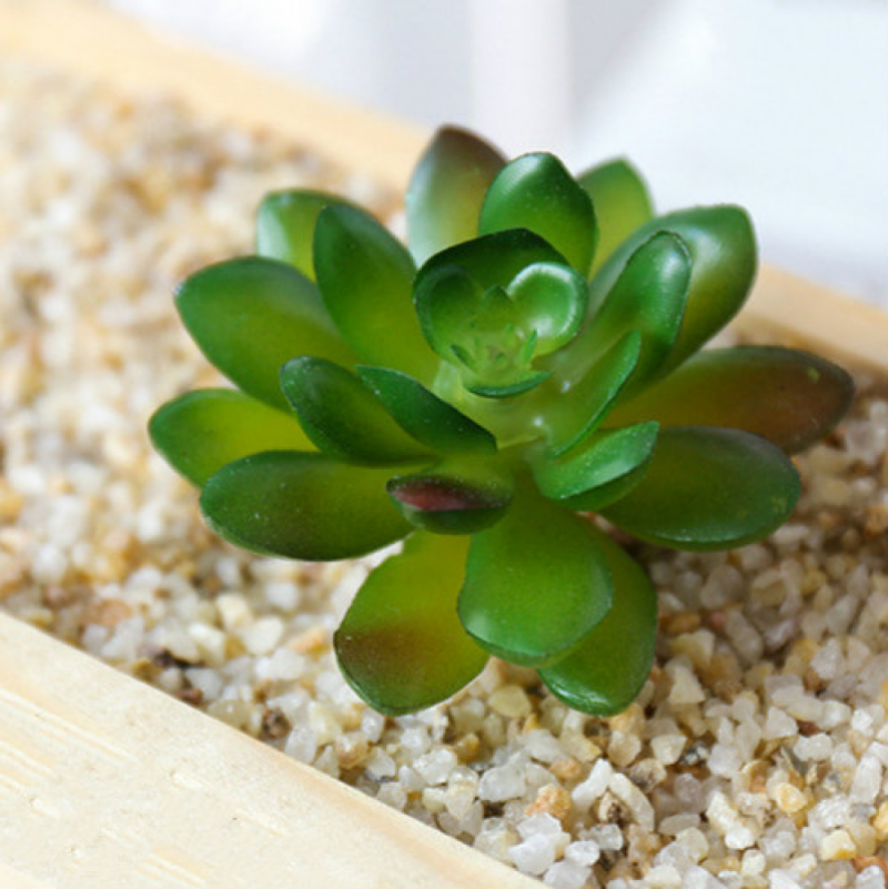Mini Artificial Succulents Plant Fake Cactus for Floral Decor DIY Home Garden - Picture 28 of 38