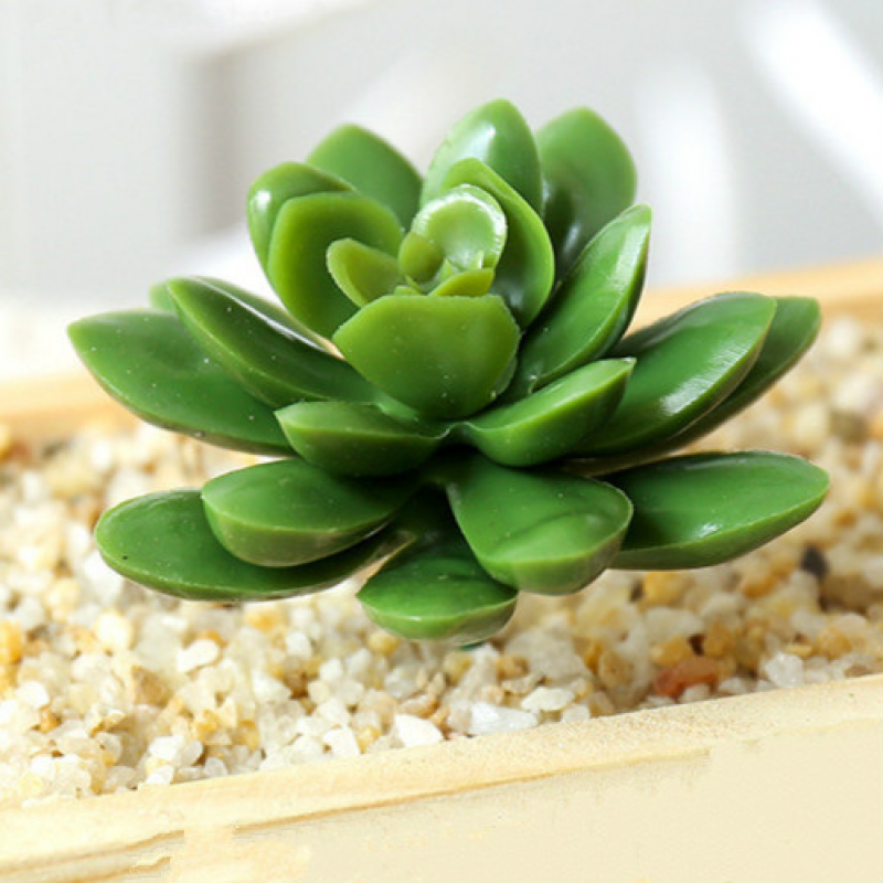 Mini Artificial Succulents Plant Fake Cactus for Floral Decor DIY Home Garden - Picture 29 of 38