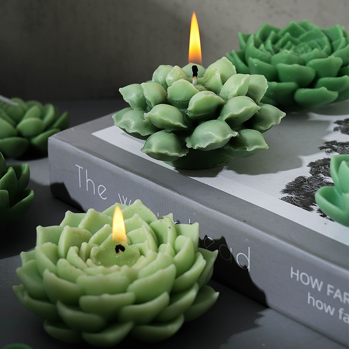 UNIANE Lot De 14 Moules En Silicone Pour Plantes Succulentes