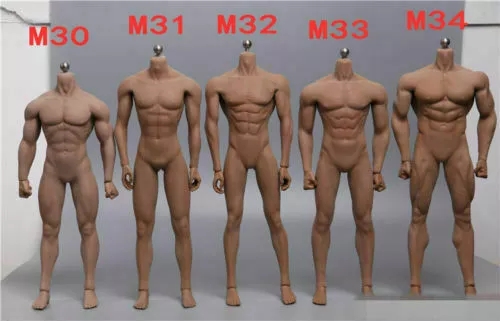 TBLeague M30-M34 1/6. Männchen nahtlos Muskel flexible Actionfigur Körperpuppe Spielzeug - Bild 27 von 29