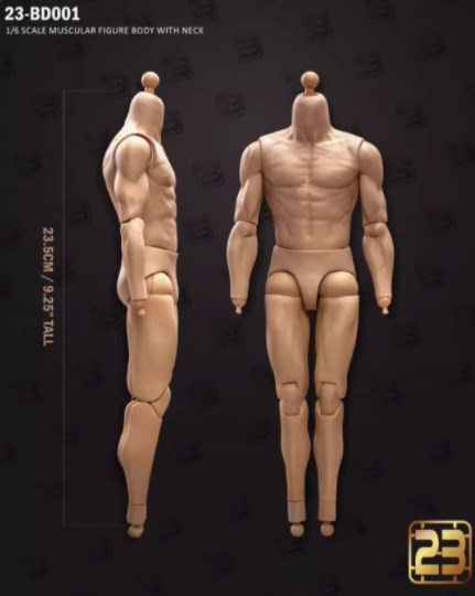 23Toys 1/6 Muscular Male Figure Body Model For 12inch Head Sculpture Toys