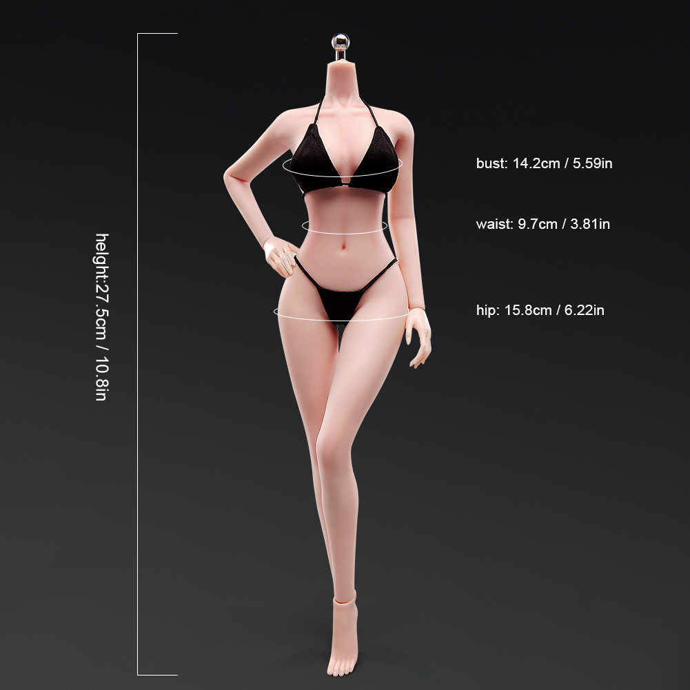 ANT T302 1/6 Female Makeup Seamless Body Medium Breast Bust 12&Prime; Action Figure