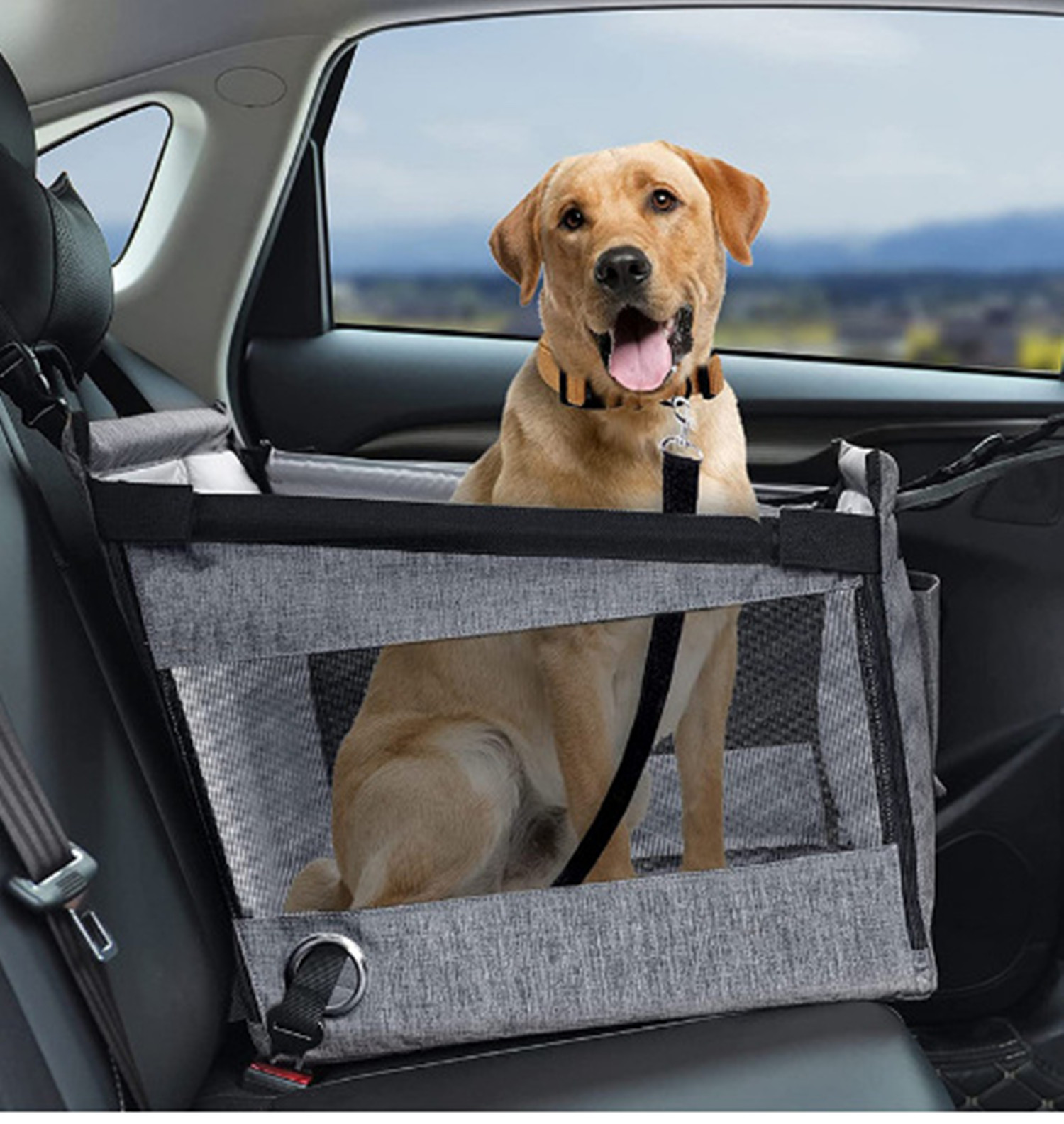 Dog Car Booster Seat for Medium Large Dog Foldable Dog Car Seat Travel Carrier - Picture 12 of 13
