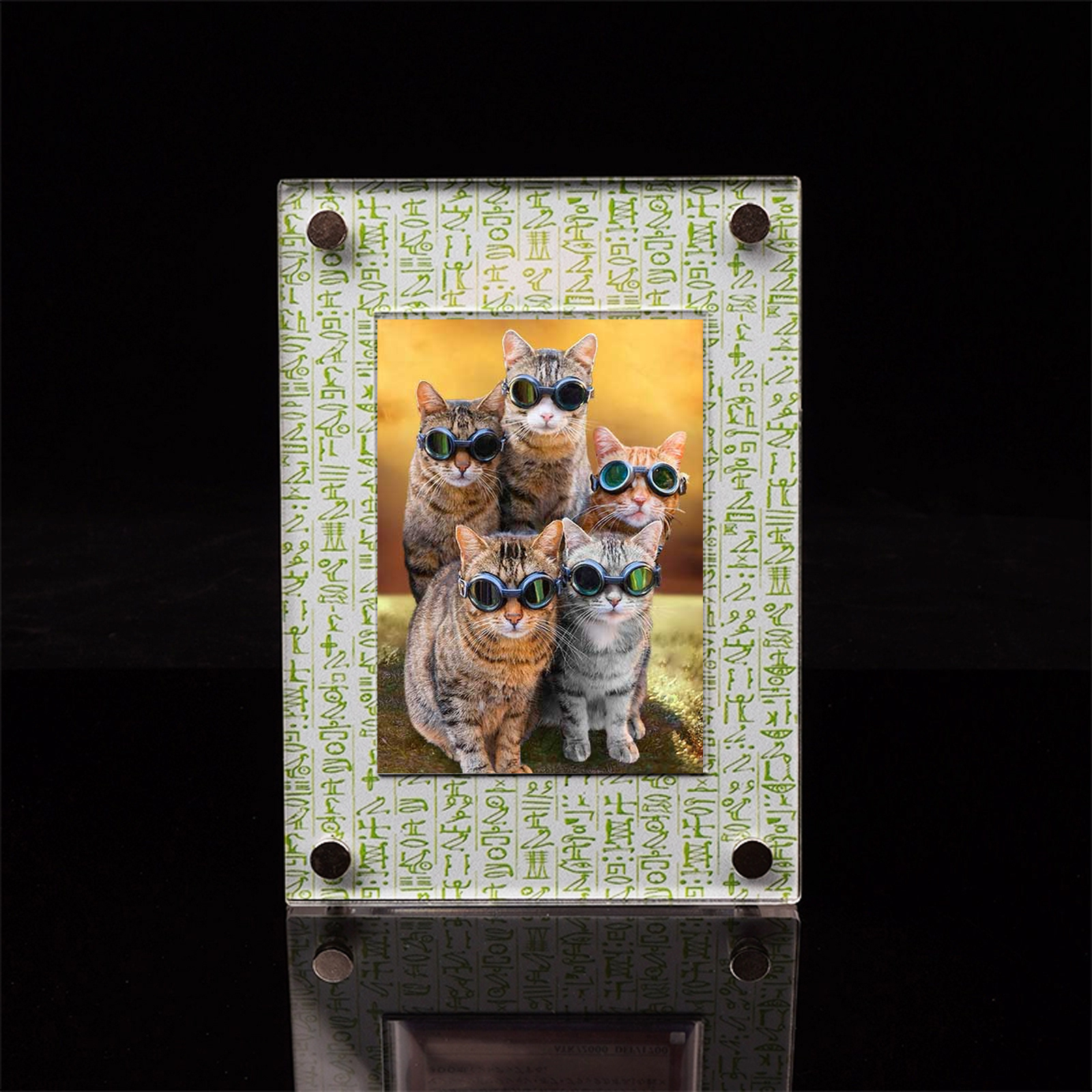 For TCG MTG Games Sports Cards Display Rack liquidation Holder for Collectible Monster Cards