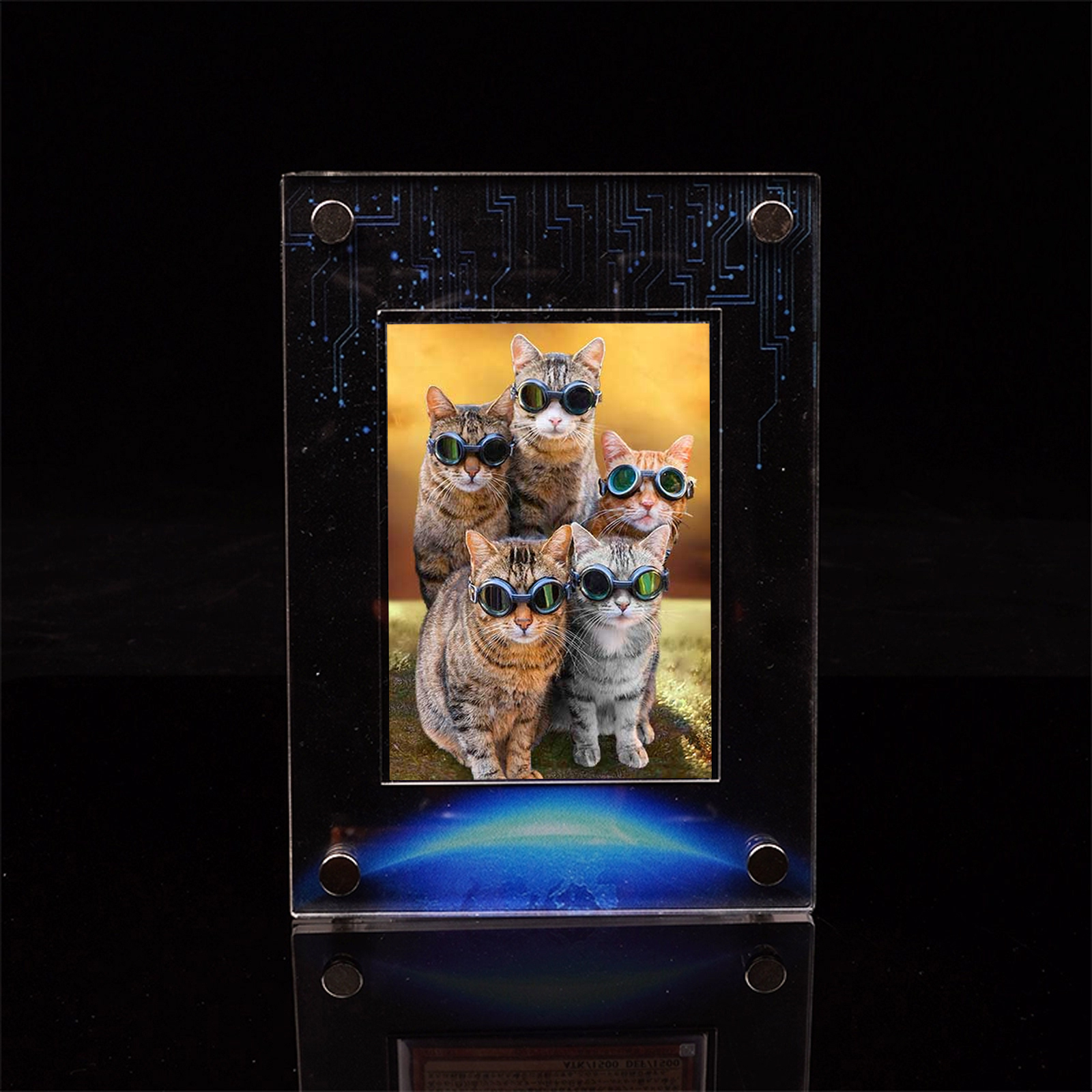 For TCG MTG Games vente en gros Sports Cards Display Rack Holder for Collectible Monster Cards