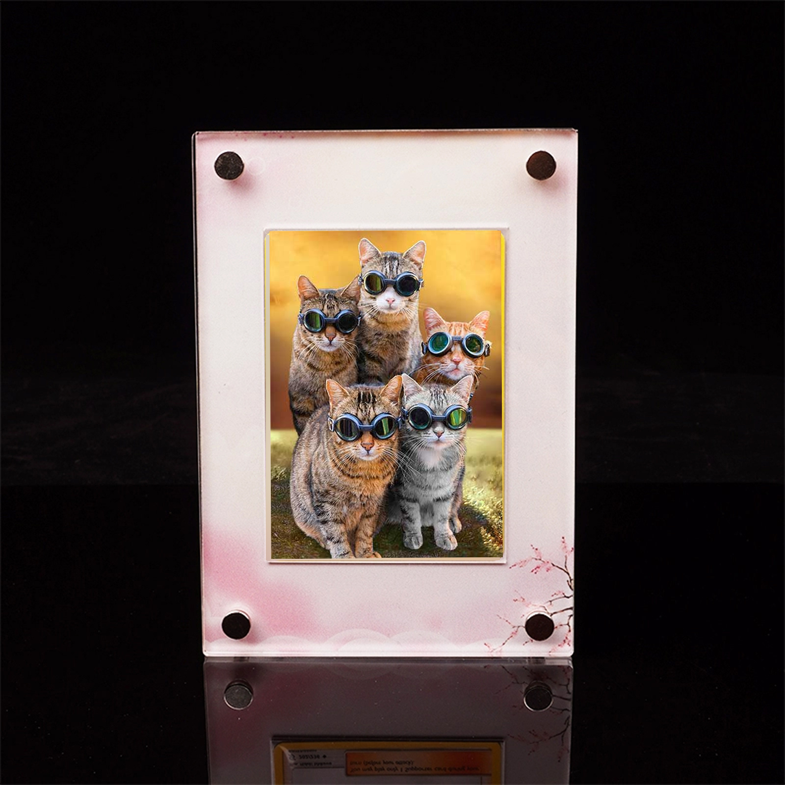 For TCG MTG Games Sports Cards Display Rack liquidation Holder for Collectible Monster Cards