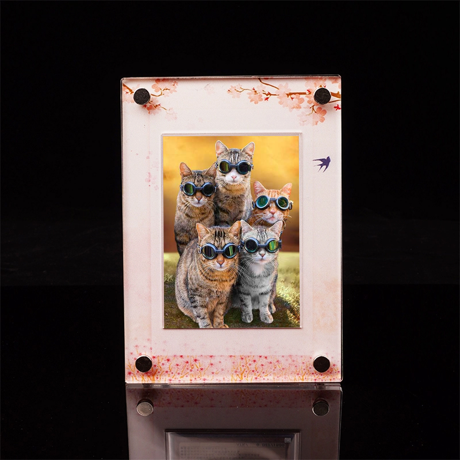 For TCG MTG Games vente en gros Sports Cards Display Rack Holder for Collectible Monster Cards