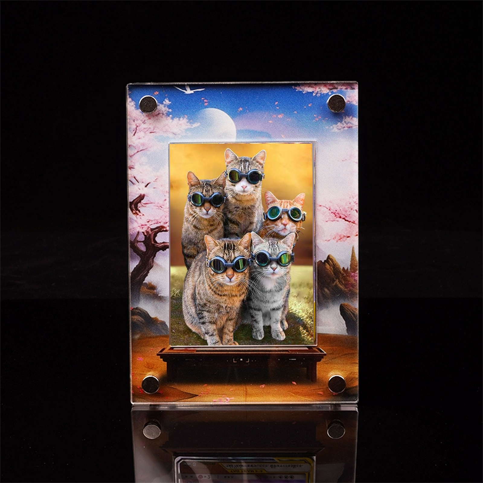 For TCG MTG Games Sports Cards 2024 Display Rack Holder for Collectible Monster Cards