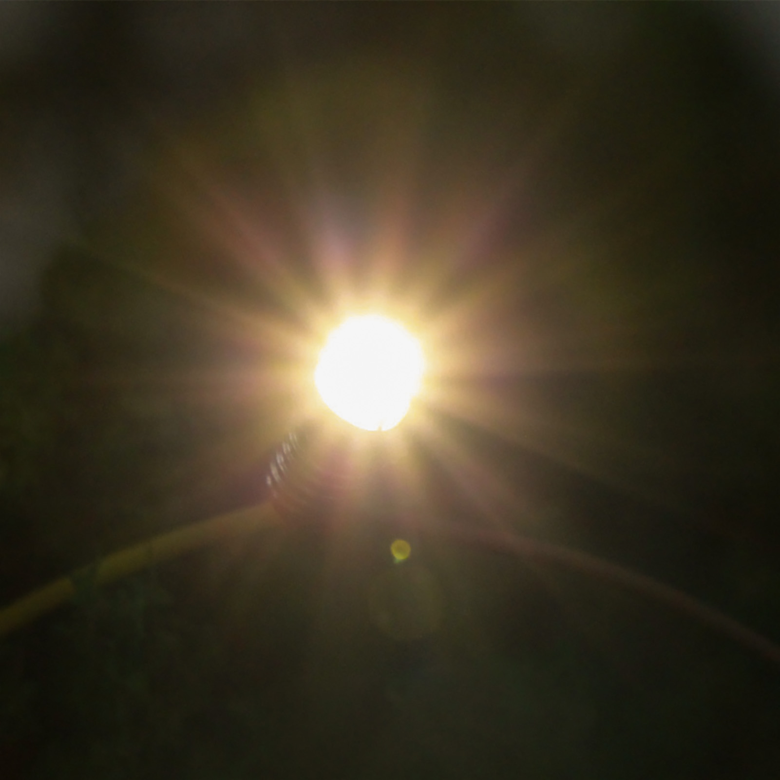 Bild 15 von 15