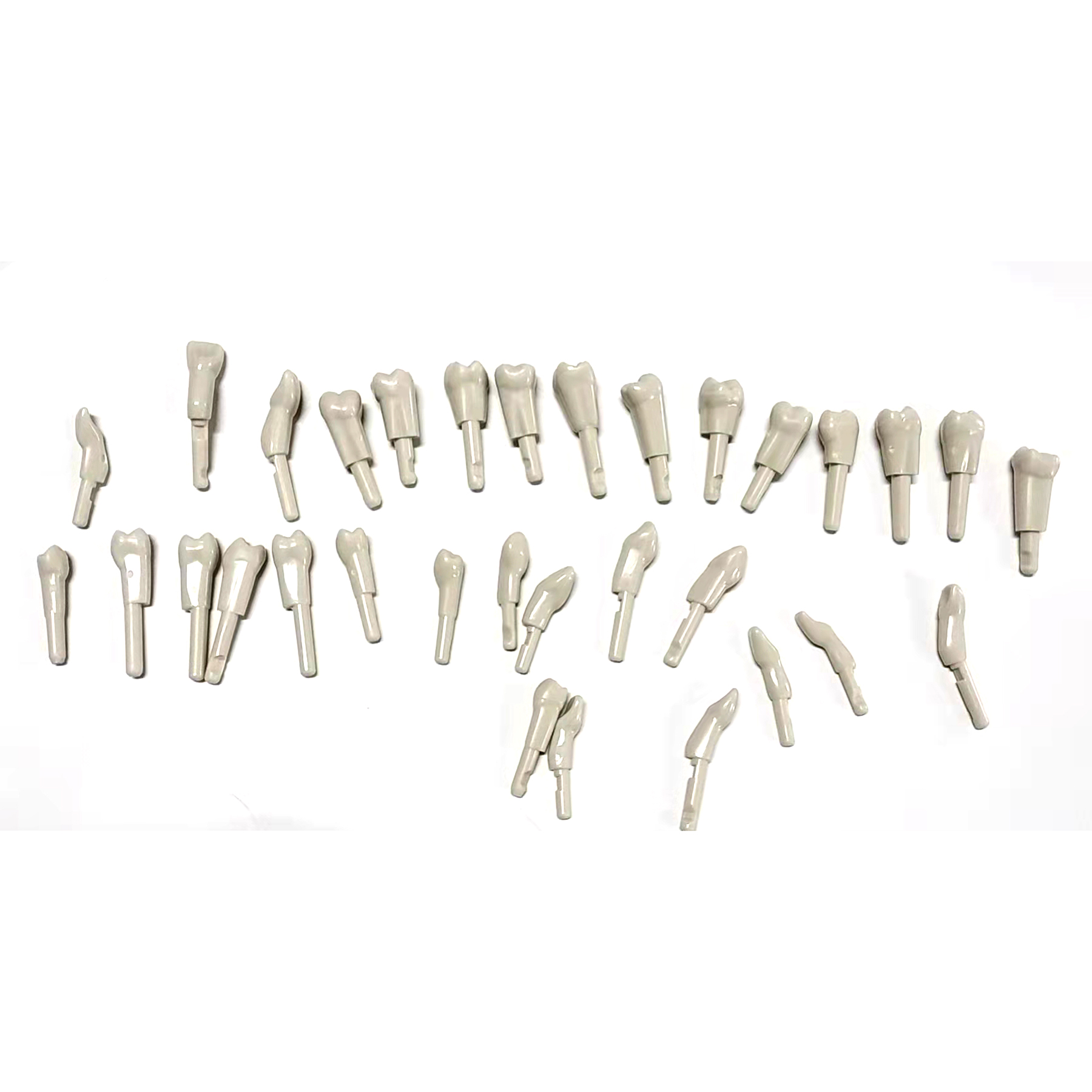 32Pc KaVo Basic Tooth Model Spare Parts for Dental Retention Mechanism