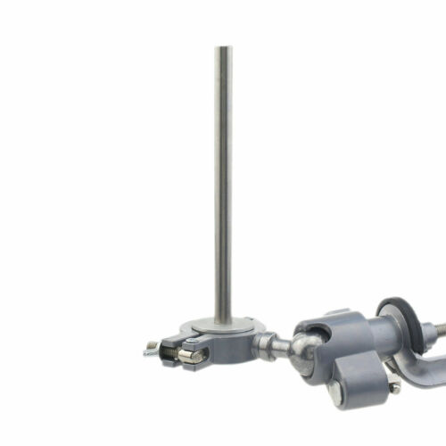 Dental 32 Stck. Zähne Typodont Modell Kilgore NISSIN Typ Befestigungsstange abnehmbar - Bild 37 von 45