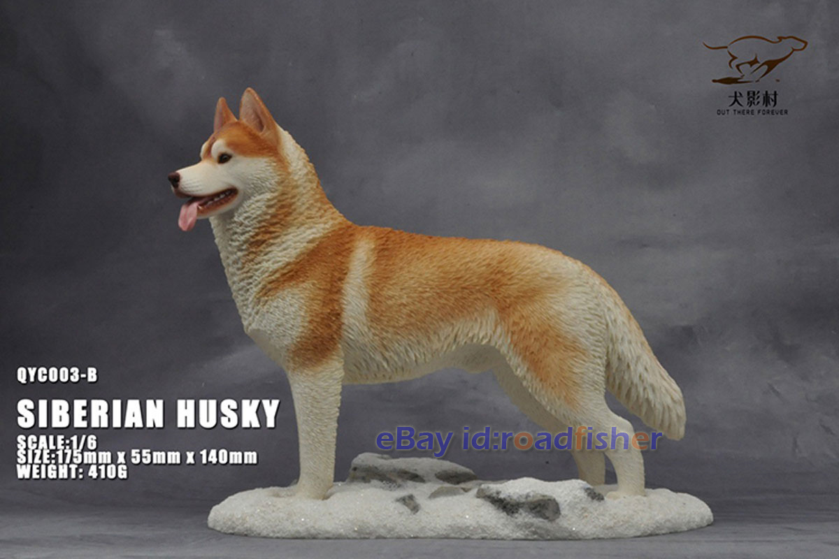 OUT THERE FOREVER 1/6 Modelo Husky Siberiano Animal Perro Coleccionista Decoración Pintado - Imagen 27 de 47