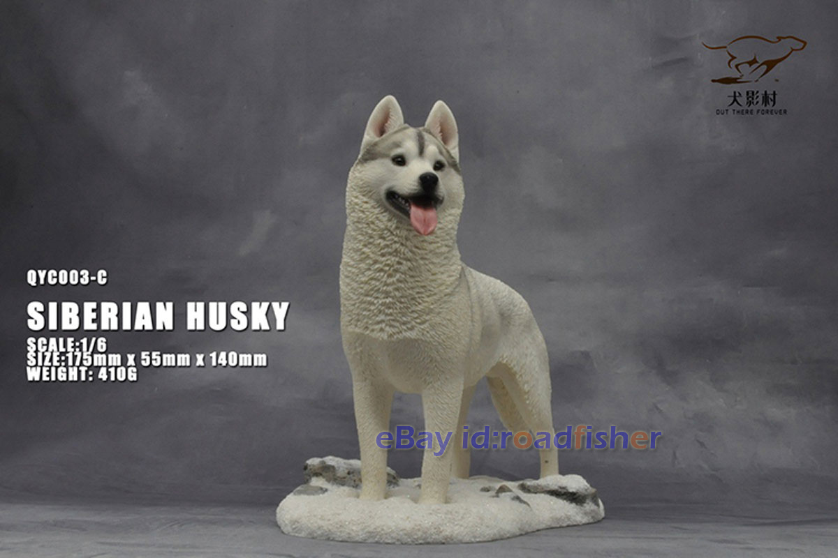 OUT THERE FOREVER 1/6 Modelo Husky Siberiano Animal Perro Coleccionista Decoración Pintado - Imagen 30 de 47