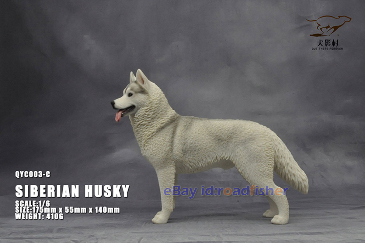 OUT THERE FOREVER 1/6 Modelo Husky Siberiano Animal Perro Coleccionista Decoración Pintado - Imagen 29 de 47