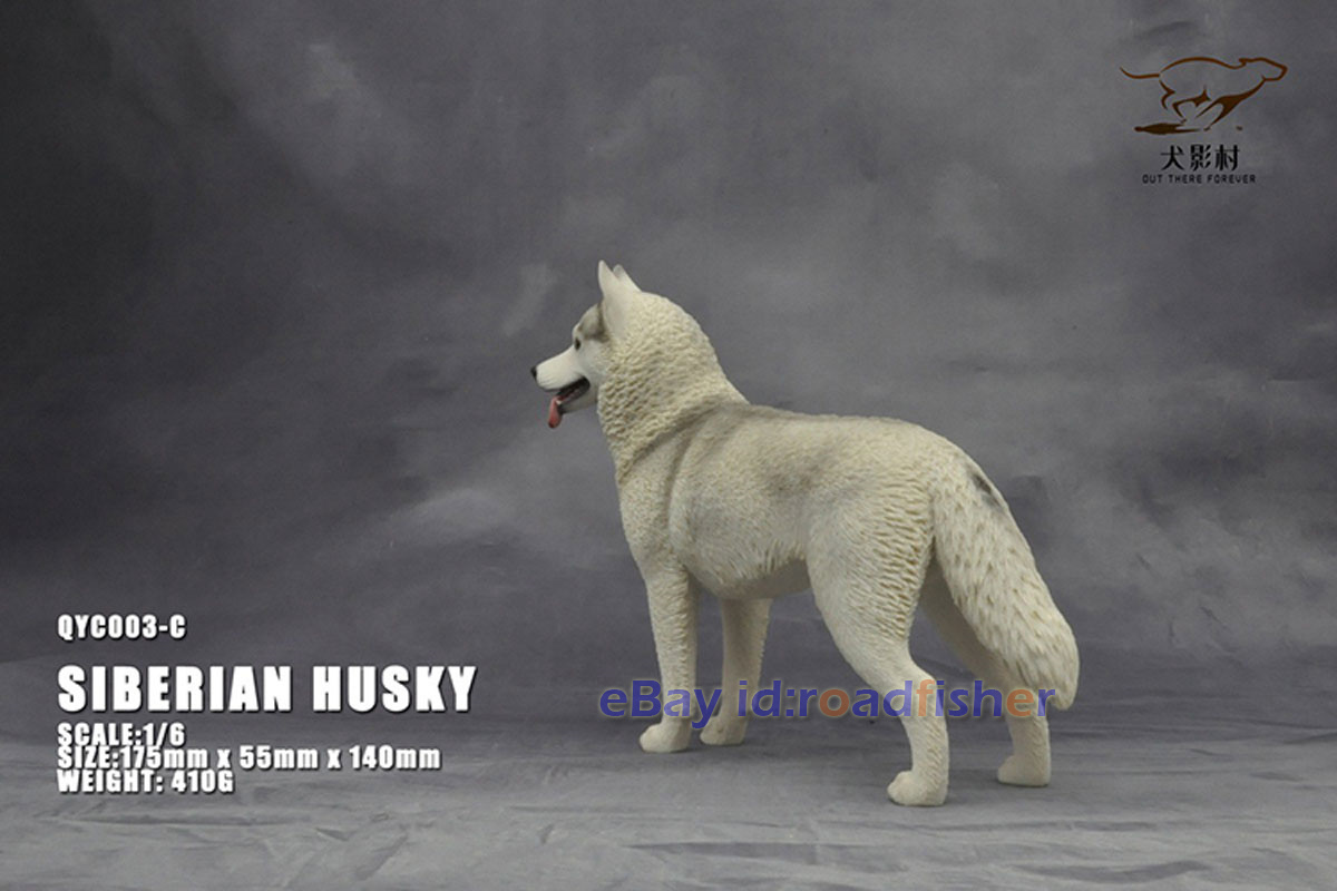 OUT THERE FOREVER 1/6 Modelo Husky Siberiano Animal Perro Coleccionista Decoración Pintado - Imagen 31 de 47