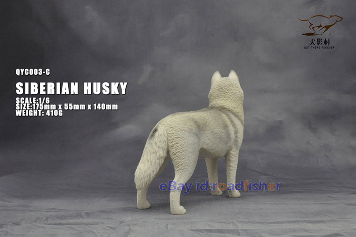 OUT THERE FOREVER 1/6 Modelo Husky Siberiano Animal Perro Coleccionista Decoración Pintado - Imagen 33 de 47