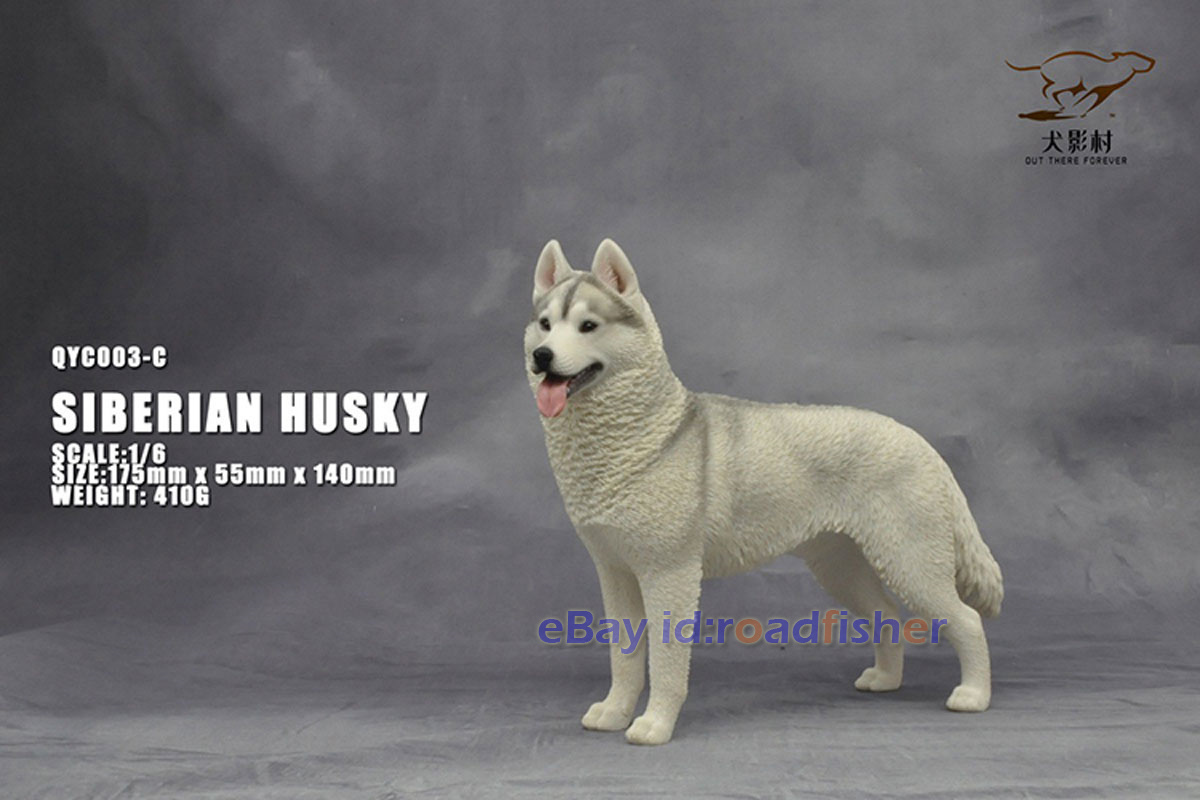 OUT THERE FOREVER 1/6 Modelo Husky Siberiano Animal Perro Coleccionista Decoración Pintado - Imagen 35 de 47