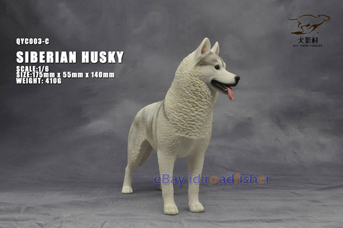 OUT THERE FOREVER 1/6 Modelo Husky Siberiano Animal Perro Coleccionista Decoración Pintado - Imagen 34 de 47