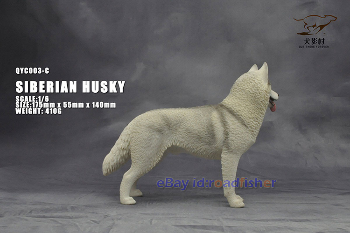 OUT THERE FOREVER 1/6 Modelo Husky Siberiano Animal Perro Coleccionista Decoración Pintado - Imagen 32 de 47