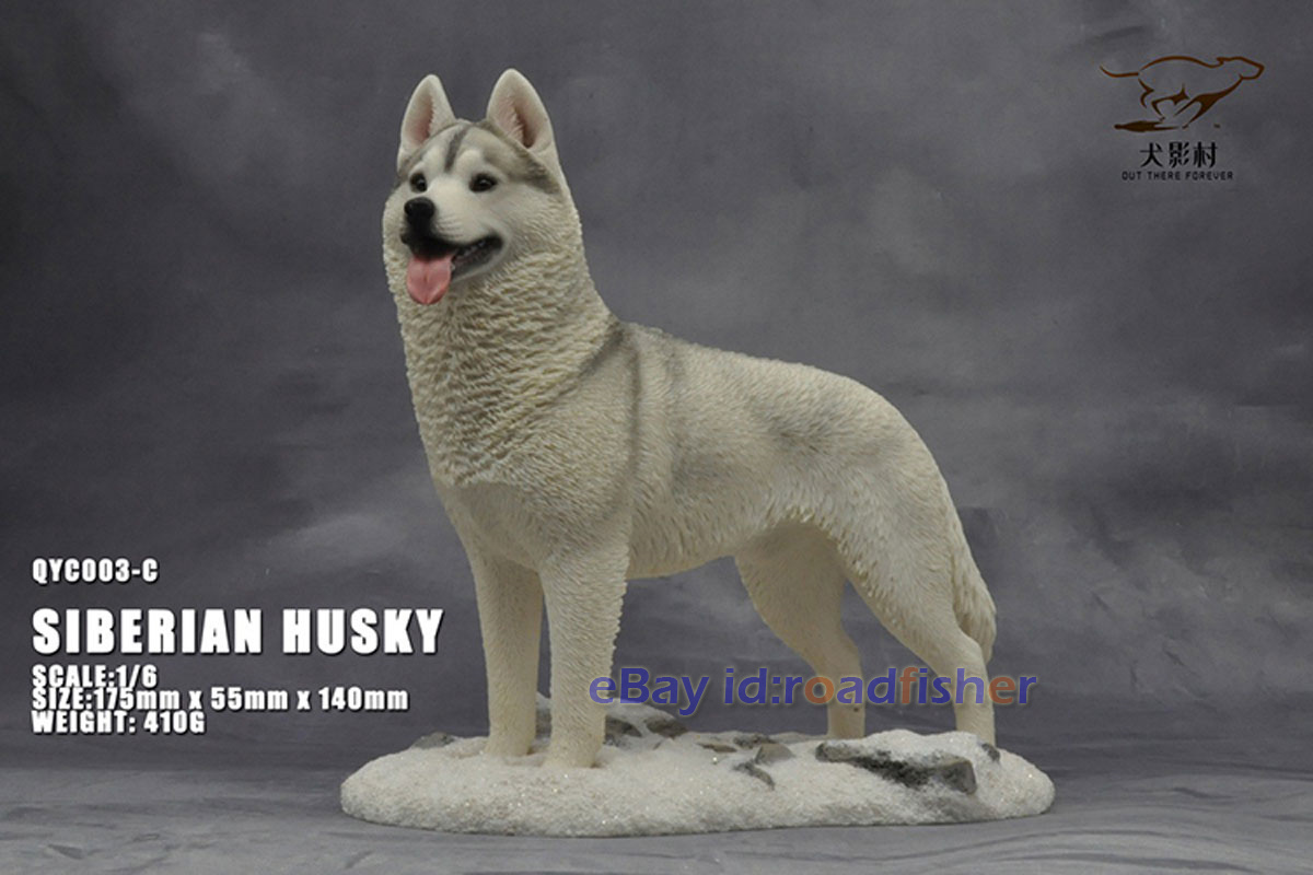 OUT THERE FOREVER 1/6 Modelo Husky Siberiano Animal Perro Coleccionista Decoración Pintado - Imagen 37 de 47